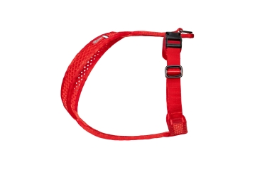 Preview: SOFTY Geschirr - Größe 5 - rot/rot